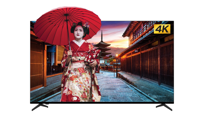 SHARP 55" 4K UHD Google TV - 4T-C55FJ1NX - NOW IN STORE